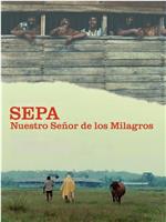 Sepa: Nuestro Señor de los milagros