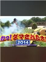 日本整人大赏 2014年夏季3小时SP