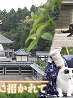 ドキュメント72時間：福井 “ねこ寺”に招かれて