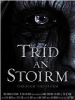 Tríd an Stoirm