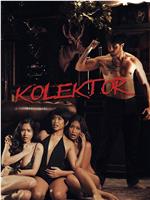 Kolektor